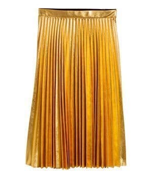 Pleated Skirt