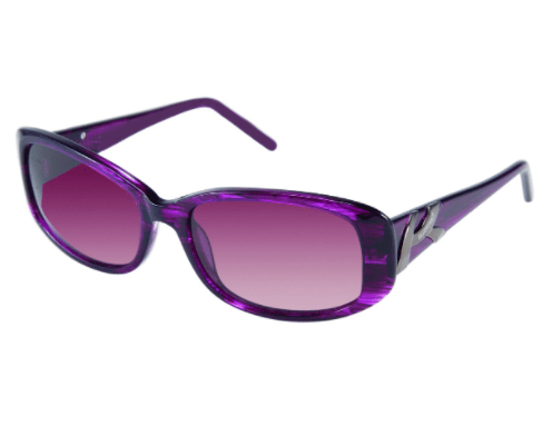 how to buy sunglasses - ellen tracy prague frames