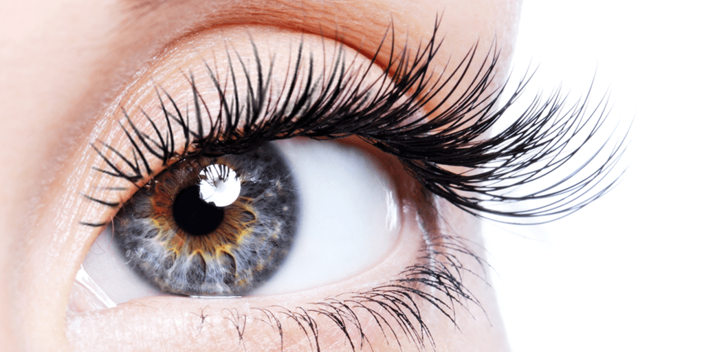 Close up of eye and eyelashes